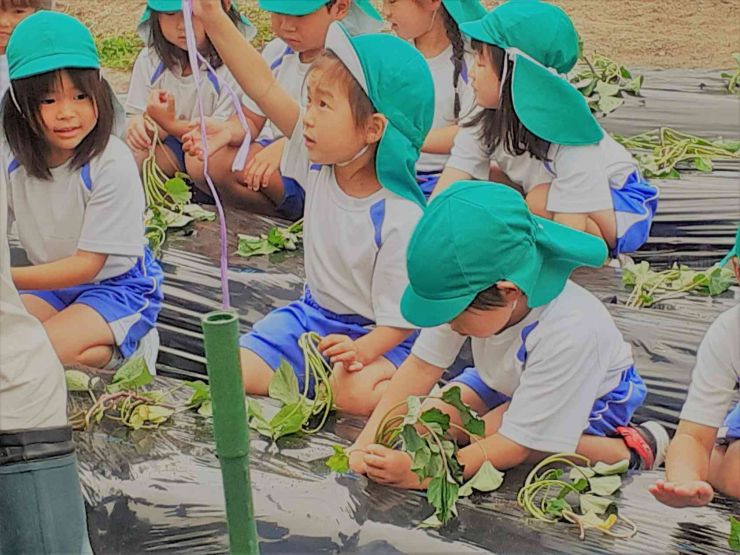 防府市玉祖幼稚園食育