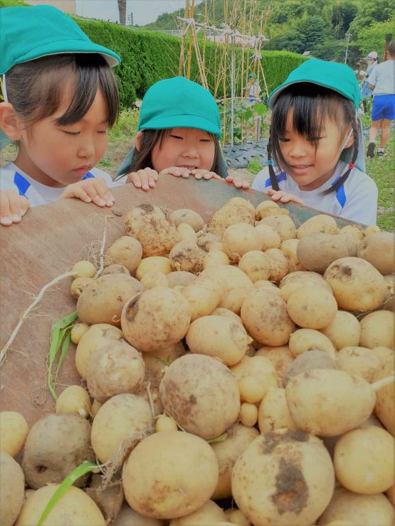 防府市玉祖幼稚園食育